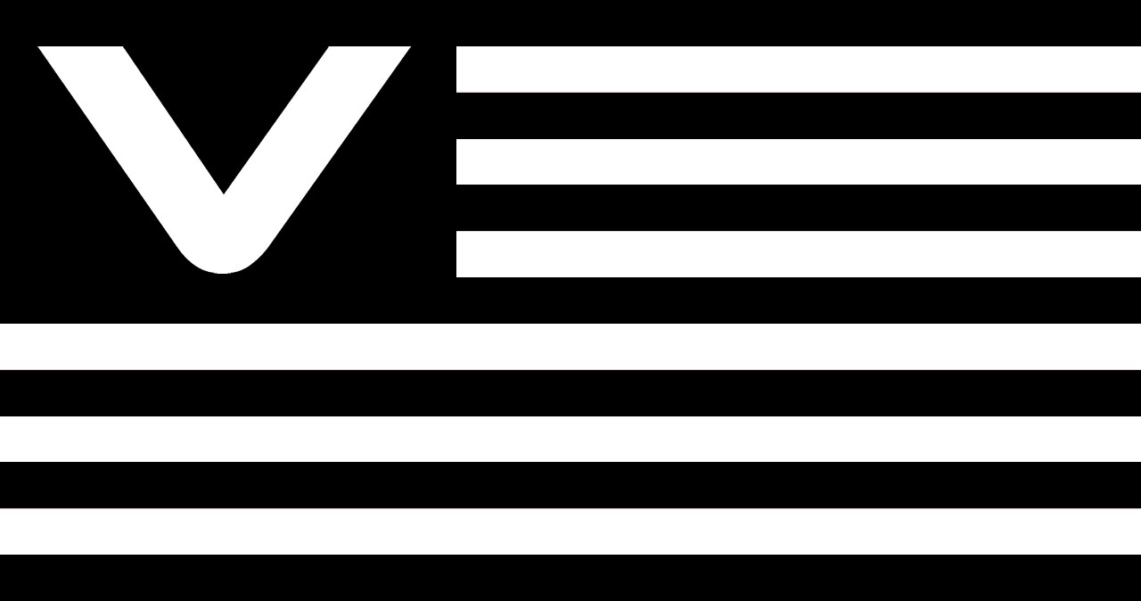VIGOR V flag